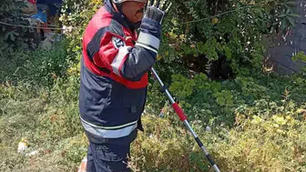 Antakya ve Reyhanlı'da yılanlar güvenle yakalanarak doğaya salındı