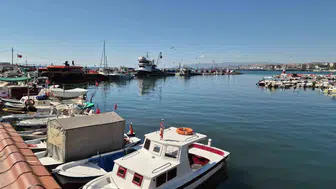 Palamut sezonu başladı: Tekirdağ'da balıkçılar mutlu, vatandaşlar tezgahlara akın etti