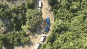 Hatay'da jandarma operasyonunda 371 kök kenevir ele geçirildi