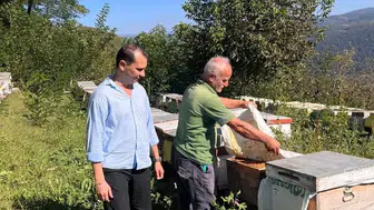 Yığılca'da arıcılıkla ilgili kovan tespit çalışması tamamlandı