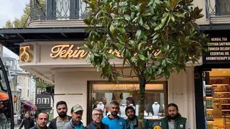 Fatih’te kesilen ağacın yerine yeni ağaç dikildi
