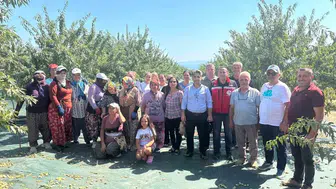 Şarköy'de badem hasadı dönemi başladı
