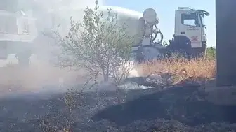 Adıyaman'da kopan elektrik telleri ot yangınına neden oldu