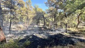 Antalya'nın Kepez ilçesinde çıkan orman yangını kontrol altına alındı