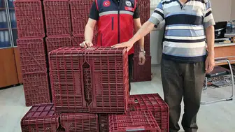 Köşk'te incir üreticilerine destek: Plastik kasa dağıtımı yapıldı