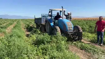 Hırsızlıkla mücadelede alternatif yöntem: Çiftçi tabelayla dikkati çekmeye çalıştı