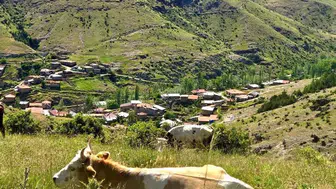 Afyonkarahisar'da kırsal dezavantajlı alanlar kalkınma projesi devam ediyor
