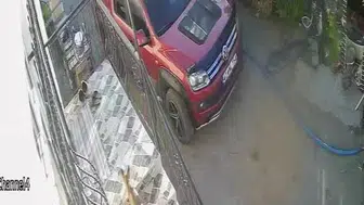 Kediler ve köpekler terlik hırsızı değil, tilkiymiş: Konya'da ilginç olay