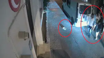 Bursa'da mahalleli hayvan sesleriyle uykusuz kaldı, isyan bayrağını çekti