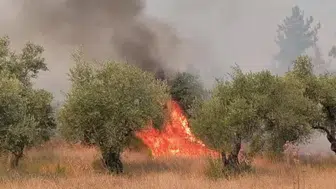Aksu orman yangınında ekiplerin mücadelesi sürüyor