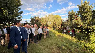 Şemsi Bayraktar, Çivril'de elma hasadı gerçekleştirdi