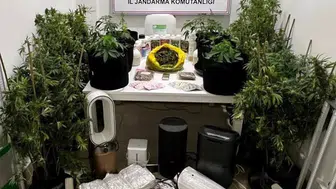 Antalya'da uyuşturucu operasyonunda 6,8 kilo skunk ele geçirildi