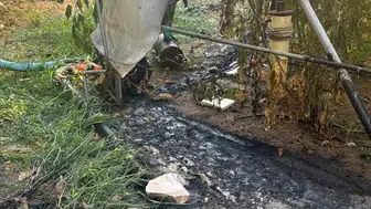Bilecik'teki çalılık yangını, ekiplerin hızlı müdahalesiyle kontrol altına alındı