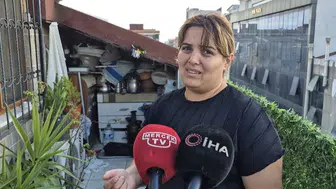 Sultangazi'deki arı istilası kadını hastanelik etti