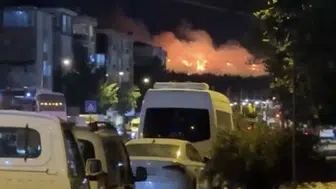 Lüleburgaz'daki otluk alanda yangın kontrol altına alındı