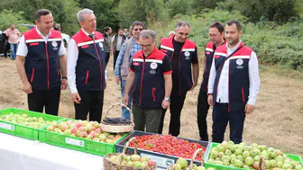 Bolu orman meyveleri, doğal zenginliklerle ekonomiyi canlandırıyor