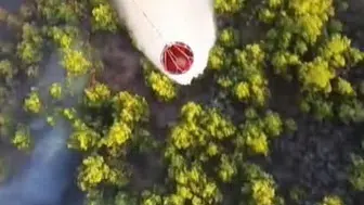 Yangınlarla mücadelede önemli gelişmeler: Serik, Karaisalı, Yahyalı ve Feke'de kontrol sağlandı