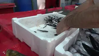 Bingöl'de balık sezonu açıldı: Tezgahlardaki çeşitlilik dikkat çekiyor