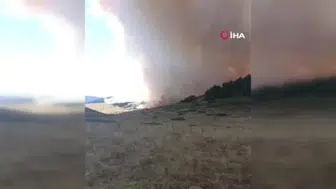 Ankara-Çankırı sınırındaki ormanlık alanda yangın çıktı