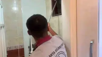 Alanya'da mahsur kalan kedi kurtarıldı: Doğaya geri döndü