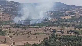 Bursa'da tarım alanındaki yangın ormana sıçradı