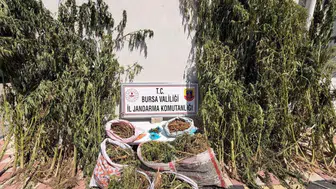 Bursa'da uyuşturucu operasyonunda büyük miktarda esrar ele geçirildi