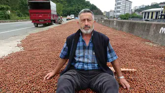 Giresun'da fındık üreticileri TMO'ya yöneliyor
