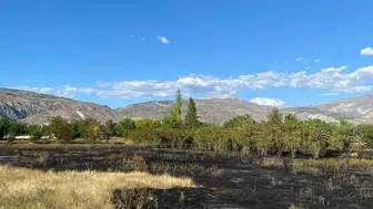 Erzincan'da çıkan anız yangını hızlı müdahale ile kontrol altına alındı