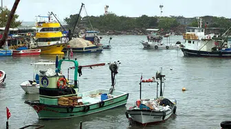 Karadeniz'de fırtına Düzce'nin Akçakoca ilçesinde etkili oldu
