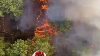 Antalya'da çıkan orman yangınına havadan ve karadan müdahale