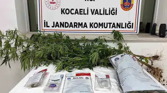 Kocaeli'de uyuşturucu operasyonu: 1 kilo esrar ve 53 gram metamfetamin ele geçirildi