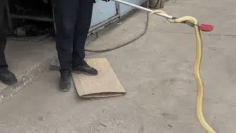 Çankırı'da dükkana giren yılan itfaiye ekipleri tarafından yakalandı