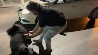 Ters yolda hareket eden sürücü, polis ve gazetecilere saldırıda bulundu