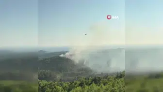 Manavgat'ta orman yangınına hızla müdahale sürüyor