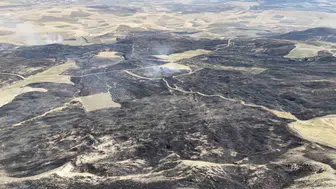 Çorum'daki örtü yangını ormanın kalbini yaraladı