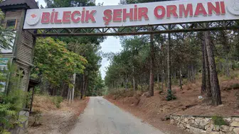 Bilecik şehir ormanı yollarında çukurlar tepkileri artırdı