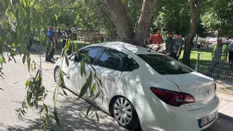 Niğde'de park halindeki araca ağaç devrildi