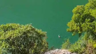 Tunceli'de derin sularda yüzen ayı gözlemlendi