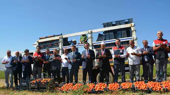 Bitlis’te domates hasadı başladı: Tarımda önemli bir sıçrama