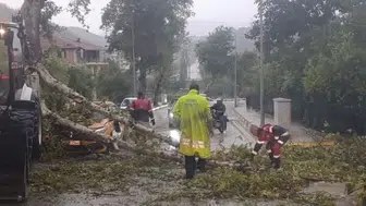 Fırtına sonrası ağaç araca düştü: Yayladağı'nda hızlı müdahale