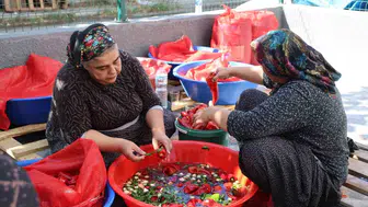Salça sezonu başladı: Adana'nın damları kırmızıya büründü