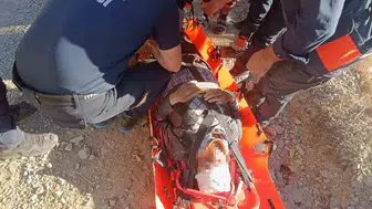 Kuşburnu toplarken uçurumdan düşen vatandaş kurtarıldı