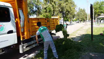 Kepez’de yeşil alan bakım çalışmaları sürüyor