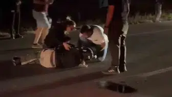 Fransız turistin koyunlardan sonra hastaneye kaldırılması: 3 koyun telef oldu