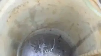 Adıyaman'da kuyudan kurtarılan yavru kedi yeni bir aileye kavuştu
