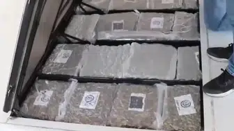 İpsala gümrük kapısında 387 kilo skunk uyuşturucu madde ele geçirildi
