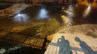 Bozkır'da doğal yaşam zenginliği: Su samuru görüntülendi