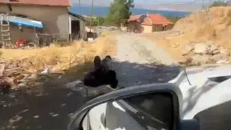 Elazığ'da yaşlı adam zincirle ağaca bağlı bulundu