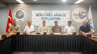 Zeytin üretiminde yüzde 40 artış beklentisi: Sektör temsilcileri bir araya geldi