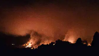 Serik'teki orman dışı yangına kapsamlı müdahale: Enerji düşürüldü